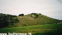 Clicca per ingrandire